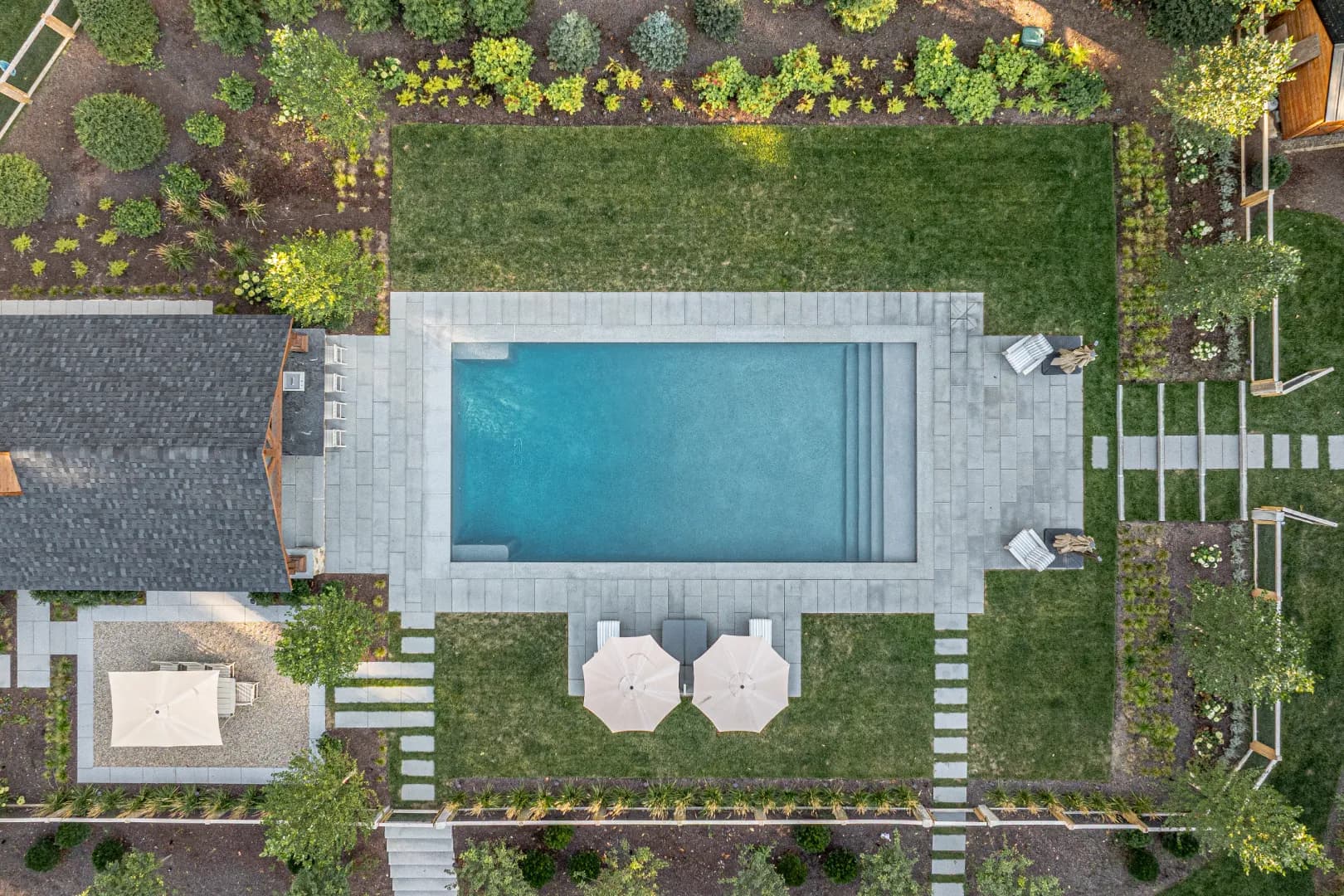 Aerial forest clearing